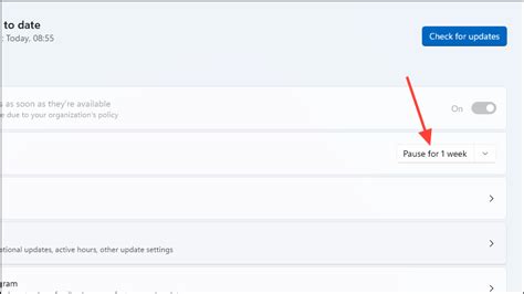 Image result for System Update Settings Windows 1.0