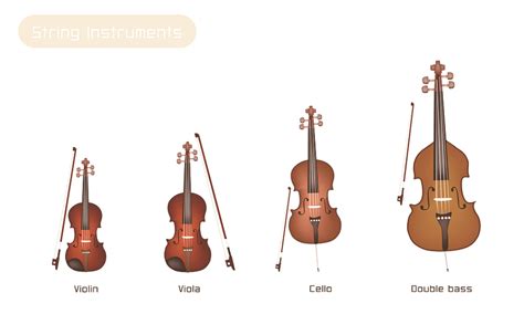 Image result for Viola String Instrument