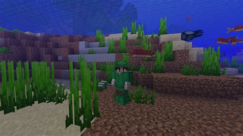 Image result for MinecraftTurtle Armor
