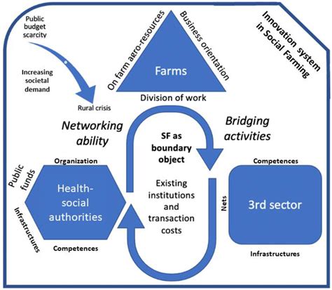 The Development of Sustainable Social Farming in Italy: A Case Studies ...