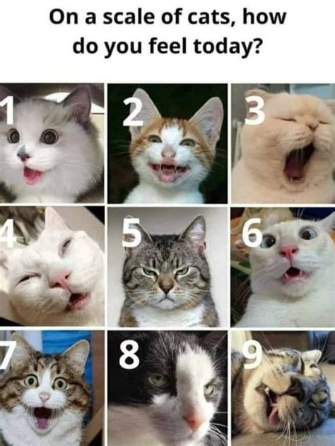 How Are You Feeling Today?