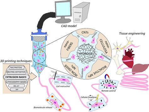 Bioengineering Examples 的图像结果