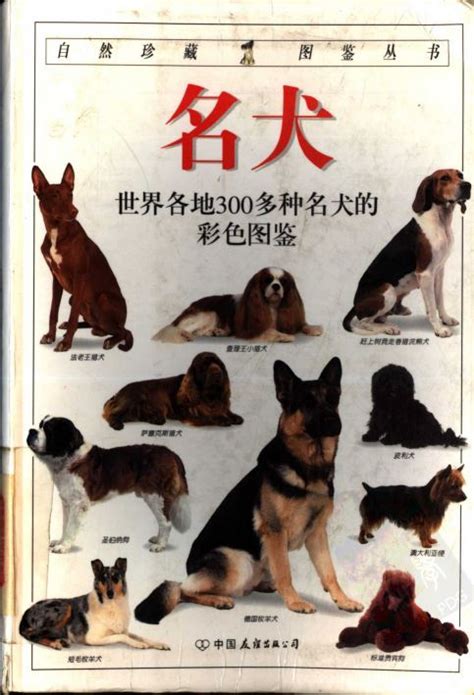 72种名犬图片及名排名,名犬图片大型,名犬图片大全加名字_大山谷图库