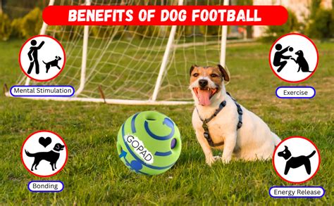 Buy GOPAD Wobble Giggle Dog Ball, Interactive Dog Toy for Small Medium ...
