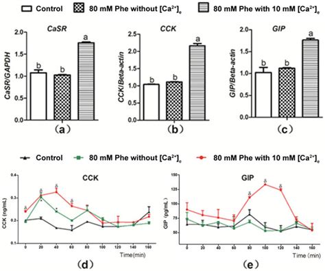 L-phenylalanine Increased Gut Hormone Secretion through Calcium-Sensing ...