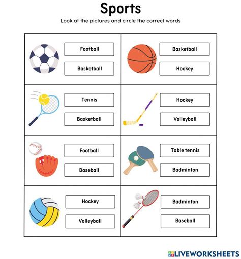 My Favorite Sport Worksheet 的图像结果