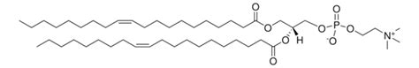 20:1 (Cis) PC powder 99 (TLC) Avanti Polar Lipids