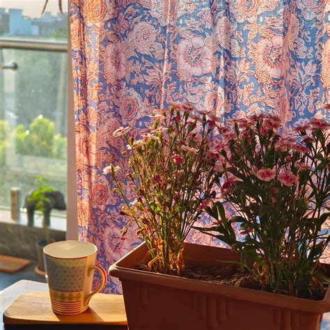 Soothing floral purple pink curtains – Brishty India
