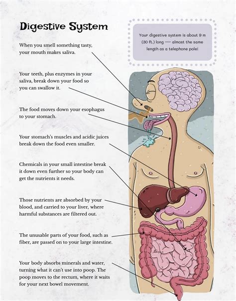 Poop Science 的图像结果