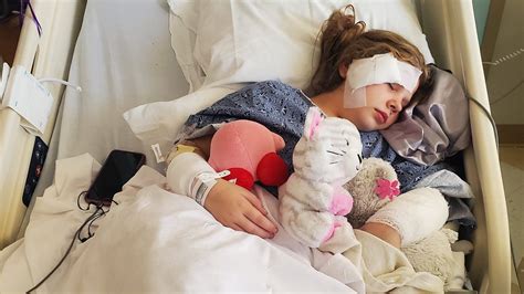 Image result for Terrifying Pit Bull