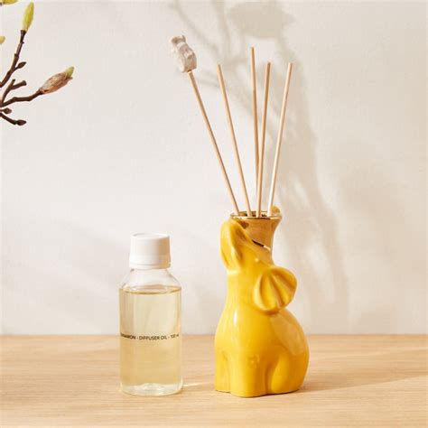 Buy Redolence Ceramic Ceylon Brew Cinnamon Reed Diffuser Set from Home ...
