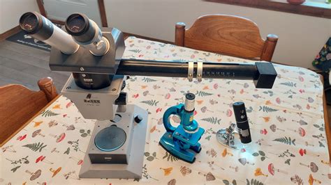 The Ultimate Tool for the Curious Gardener: The (Small) Microscope - Laidback Gardener
