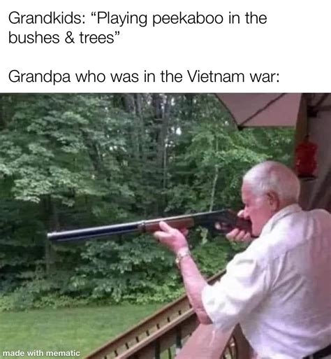vietnam war meme - Chameleon Memes