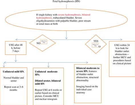 Image result for Nephrohydrosis Algorithm