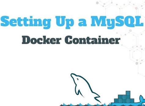 جی بلاگ | نحوه راه اندازی و پیکربندی MySQL Docker Container
