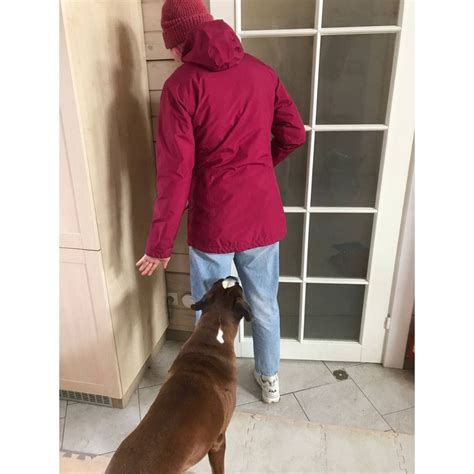 Image result for Hand Signs for Dogs