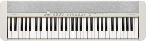 Casio CT-S100 Casiotone 61-Key Portable Keyboard (Black) : Amazon.in ...