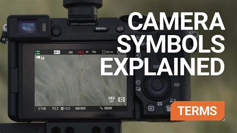 Camera Symbol Flow Chart 的图像结果
