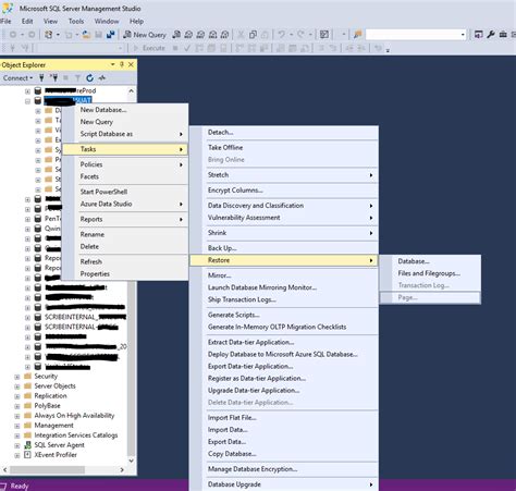 Restore SQL Server Database Version 的图像结果
