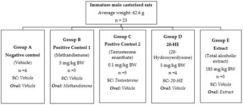Phytoecdysteroids and Anabolic Effect of Atriplex dimorphostegia: UPLC ...