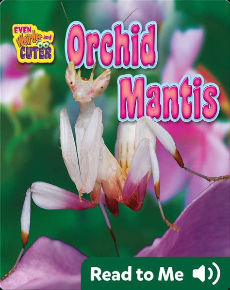 Orchid Mantis Book by E. Merwin | Epic