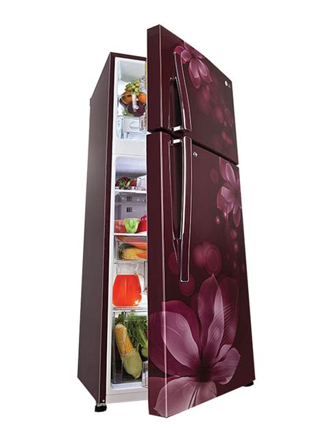 Smart refrigerators | Business Economics