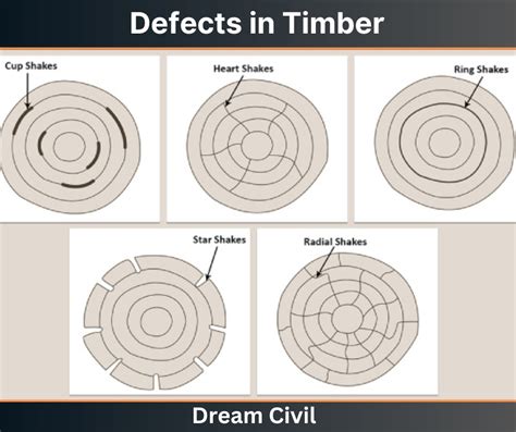 Image result for Defects in Timber