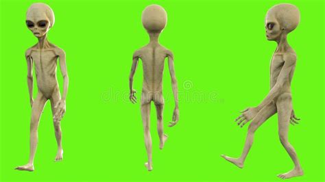 Image result for Alien Time Animation