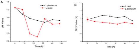 Beneficial Effects of Tomato Juice Fermented by Lactobacillus Plantarum ...