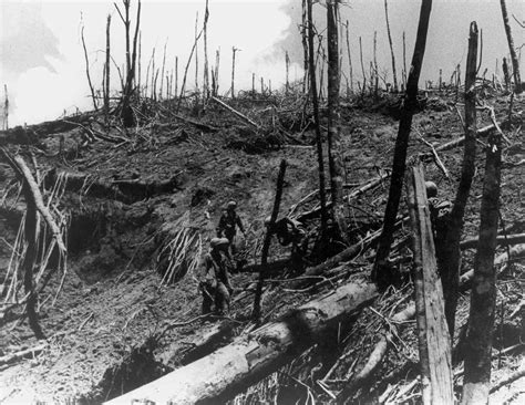 Battle of Hamburger Hill in the Vietnam War