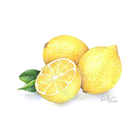 Image result for Lemon Drawing Colored