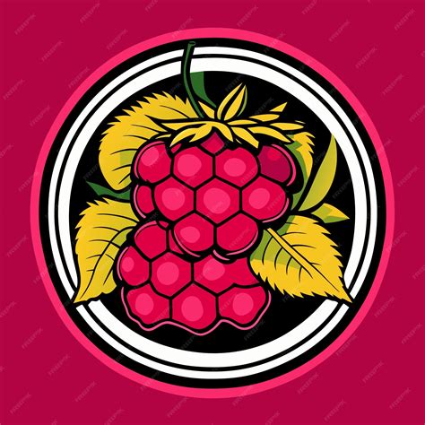 Image result for Raspberry Drawing Vector
