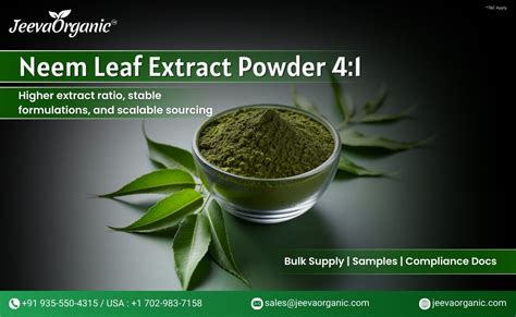 Neem Leaf Extract Powder 4:1 for Bulk Formulations