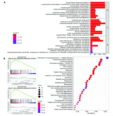 Image result for Go Annotation