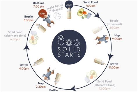 Baby Feeding Schedules - 6 to 24 Months - Solid Starts