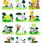 Image result for Climbing Animals Clip Art