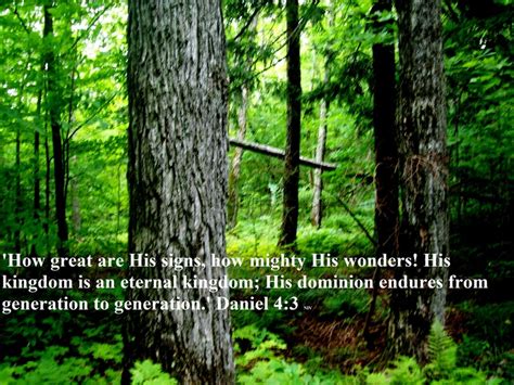 Image result for Read Scripture Daniel