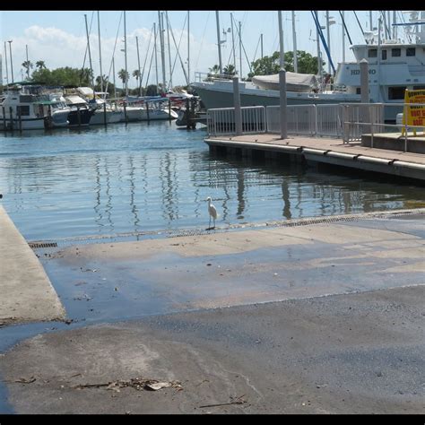GULFPORT MUNICIPAL MARINA (2026) All You Need to Know BEFORE You Go ...