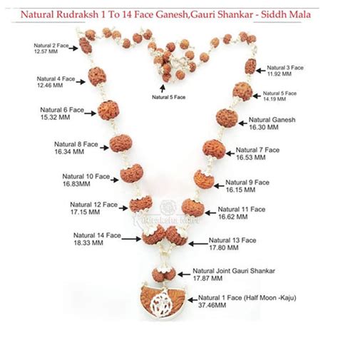 Buy Online 1 to 14 Nepali and Java Siddha Mala Rudraksha in USA, UK ...
