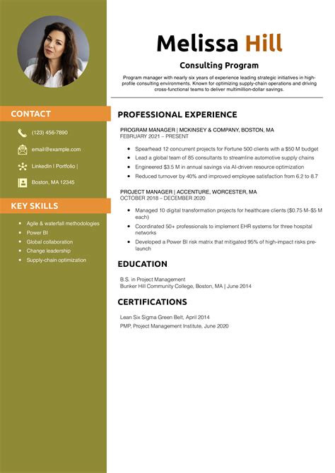 Resume Examples for Program Manager 的图像结果