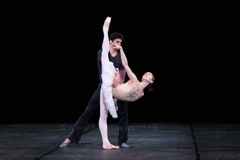 Russian Ballet Icons 的图像结果