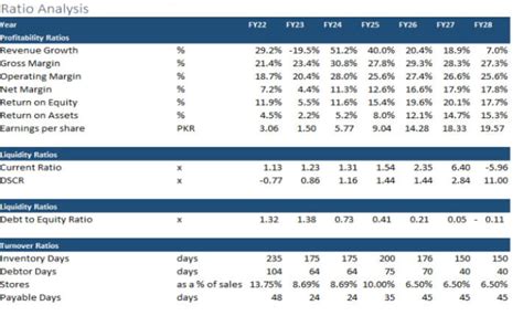 Financial Model Example 的图像结果