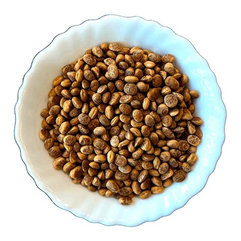 Buy Cuddapah Almond/Charoli in Gujarat, India - Spyran Retail