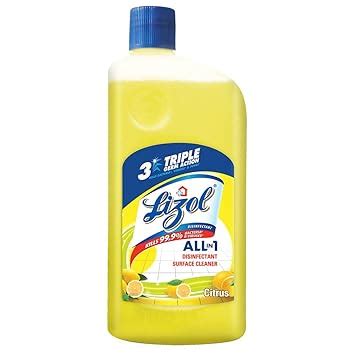 Lysol Disinfectant Surface & Floor Cleaner Liquid, Citrus - 1 Litre ...