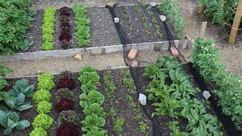 Image result for Soil Bio Technology