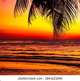 Image result for Sunset Climb O2