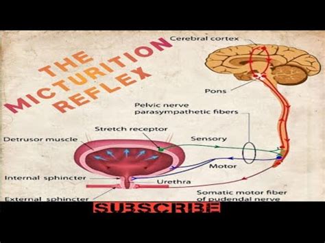 mication