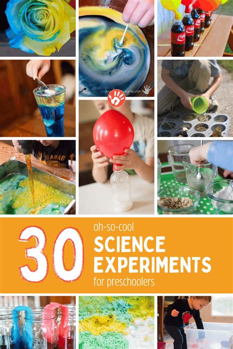 Science Fair Experiments 的图像结果