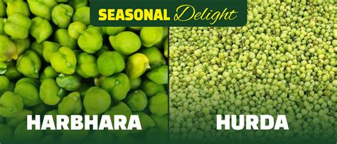 Jain Farms - Buy Farm Fresh Fruits, Vegetables, Dry Fruits & Grocery