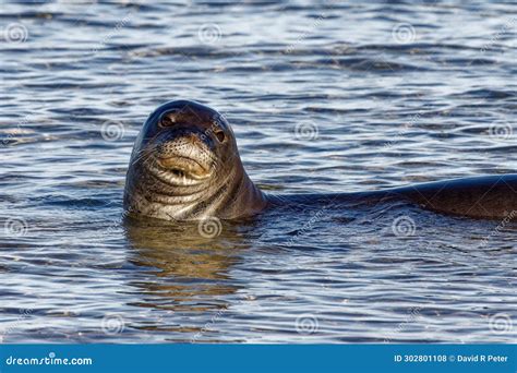Monk`s Fishing House At Cong Abbey, County Mayo, Ireland Royalty-Free ...